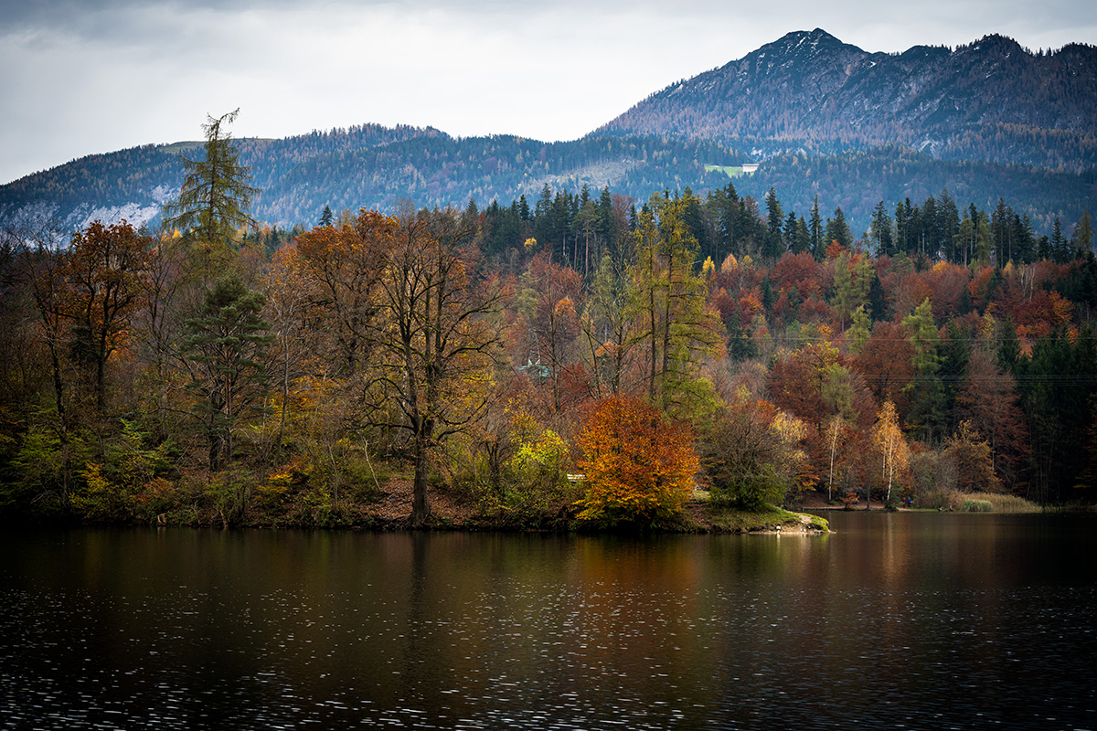 20201101_NZ7_0039NF.jpg