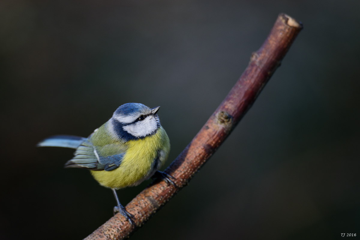 DSC_1846.jpg