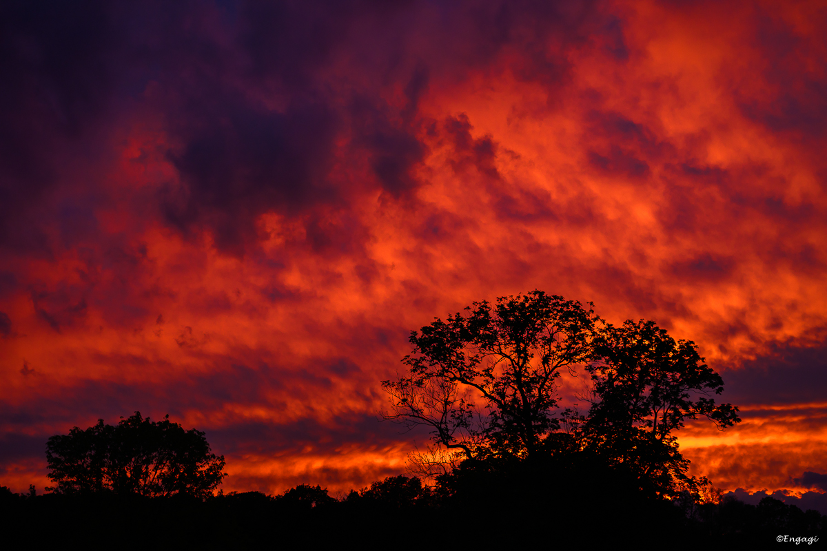 DSC_5273.jpg