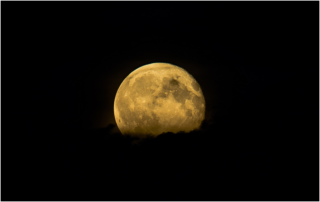 22825858136_2470bca425_o.jpg
