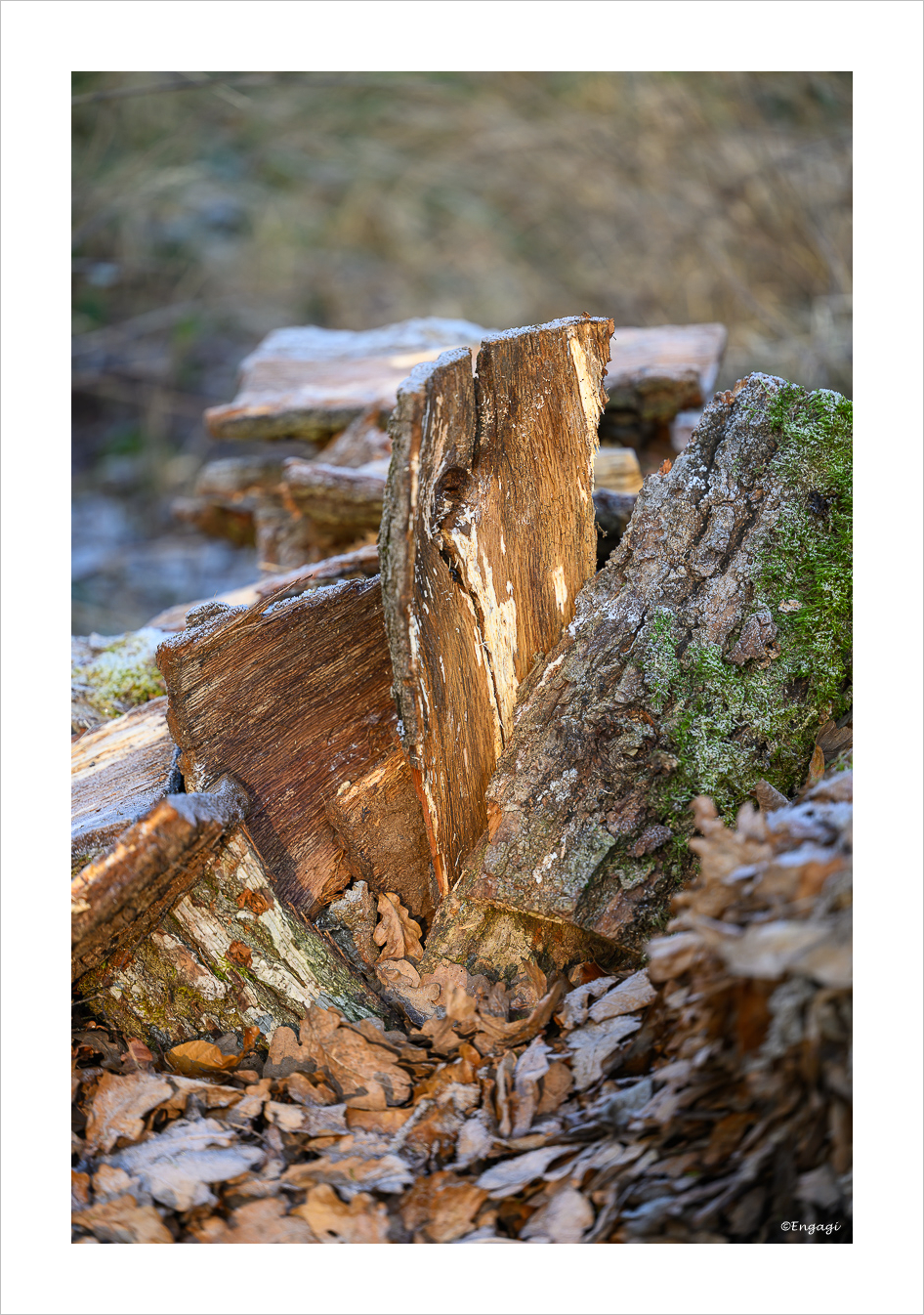 DSC_9603.jpg