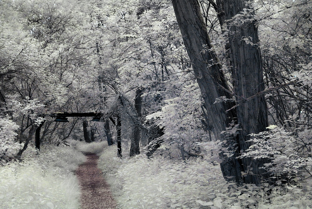 40429647020_2f66830849_o.jpg