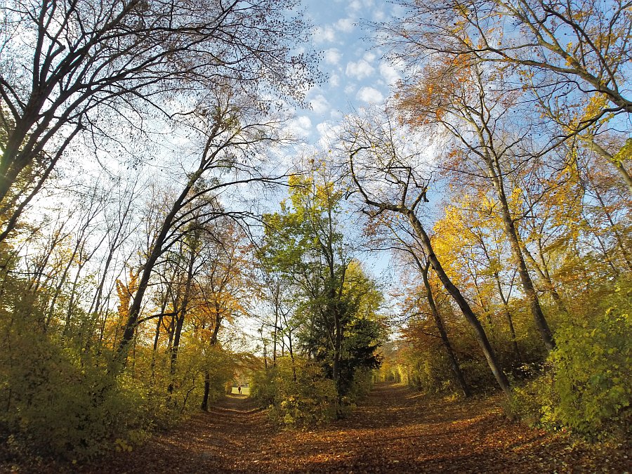 161109_094044.JPG