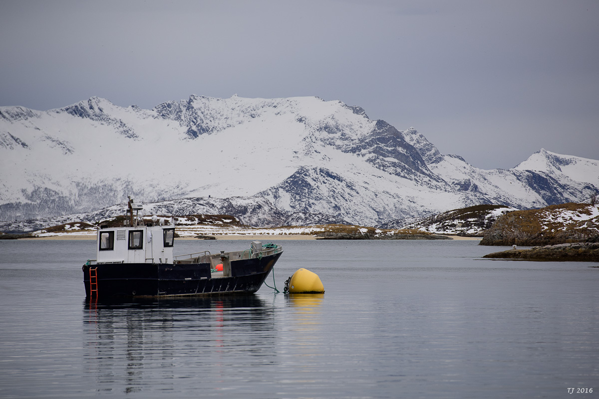 DSC_2404.jpg