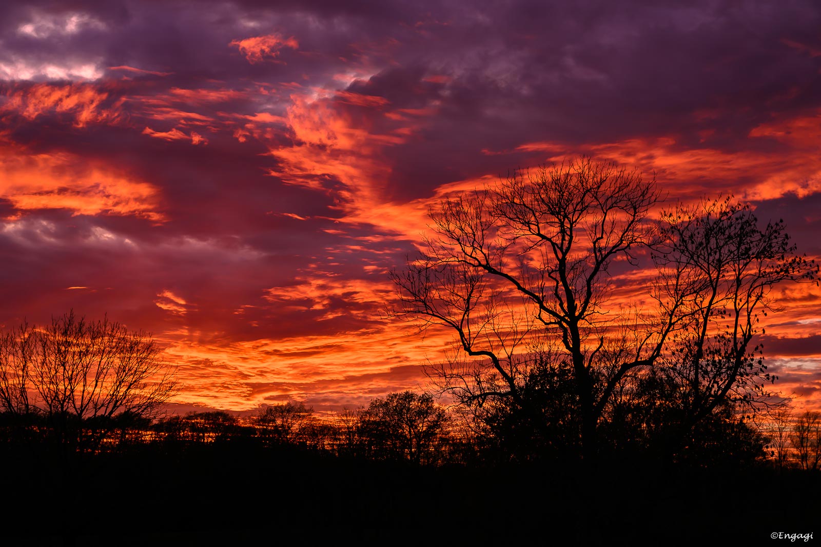 DSC_9417.jpg