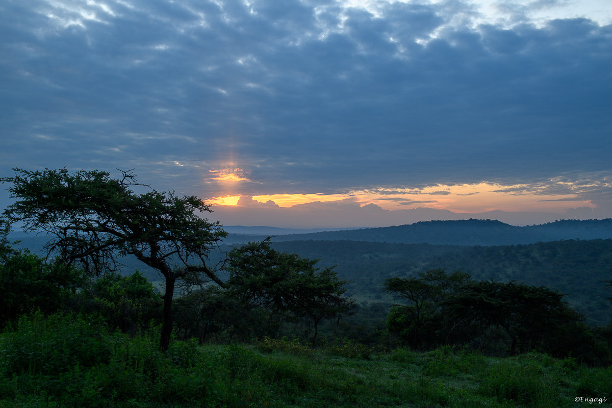 Uganda%202528.jpg