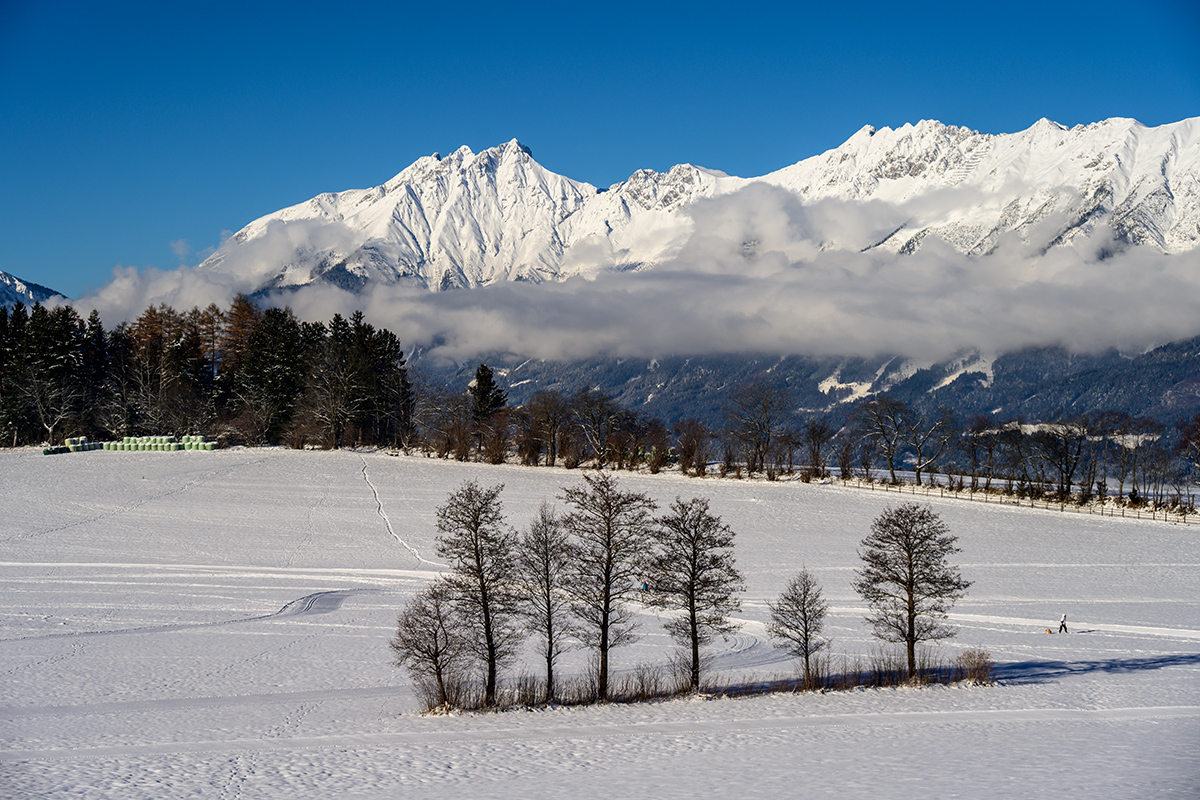 20211212_NZ7_0453NF.jpg