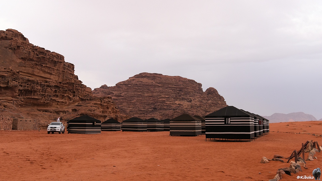 Camp mit grünen Zelten im orangeroten Wüstnsand