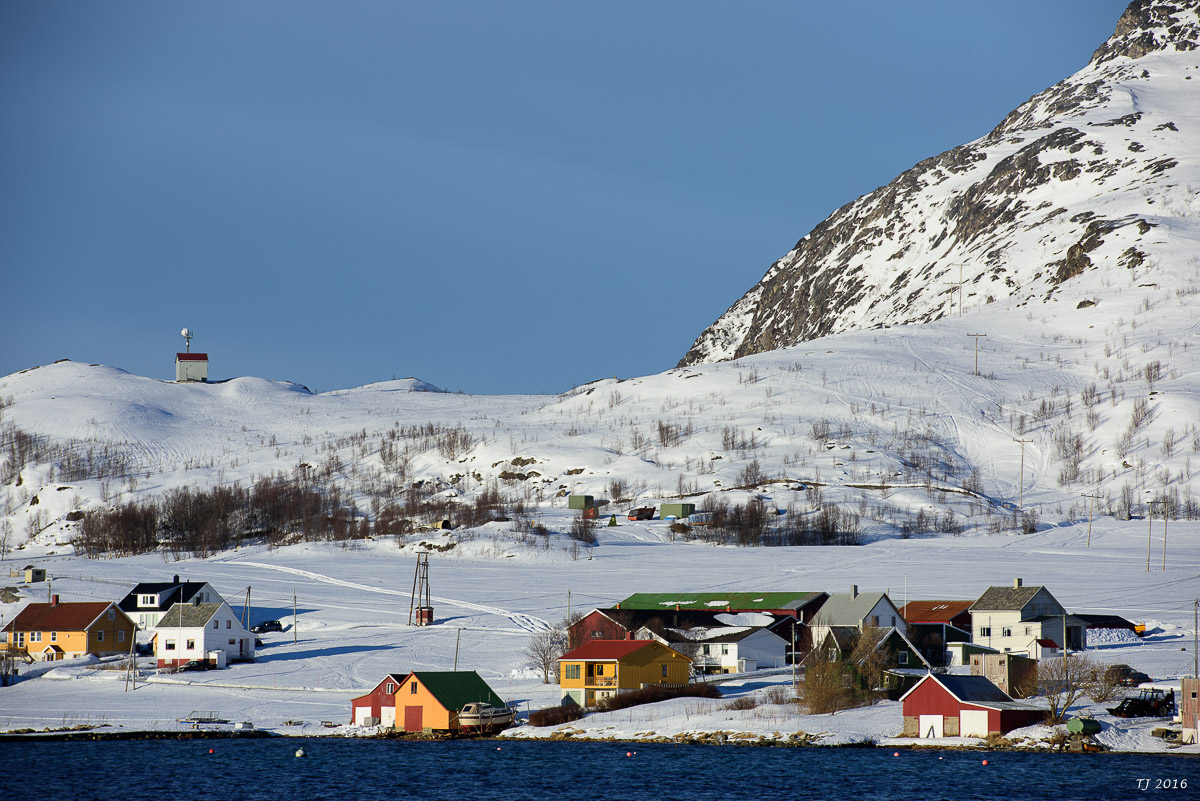DSC_3154.jpg