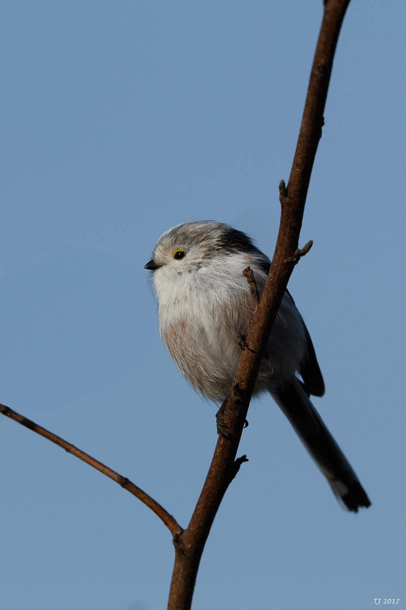 DSC_0548.jpg