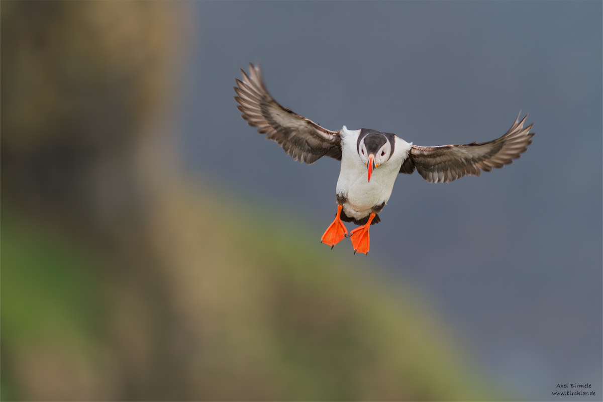 20140513_0027_PS_1200Px.jpg