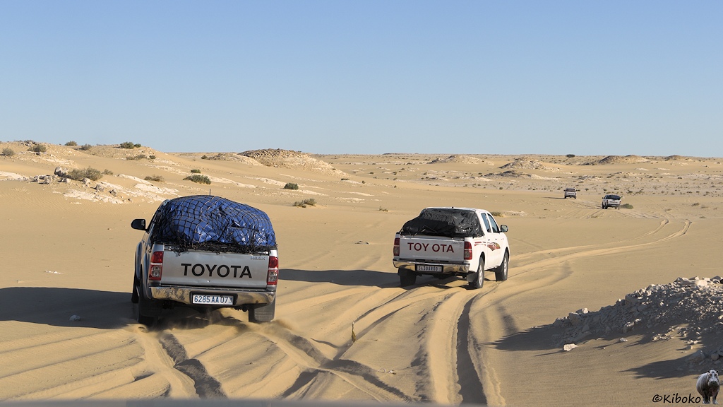 Das Bild zeigt zwei vorausfahrende Geländewagen in der Wüste. Der erste Wagen folgt den Spuren im Sand, während der zweite Wagen schräg nach links fährt und die Spuren kreuzt.