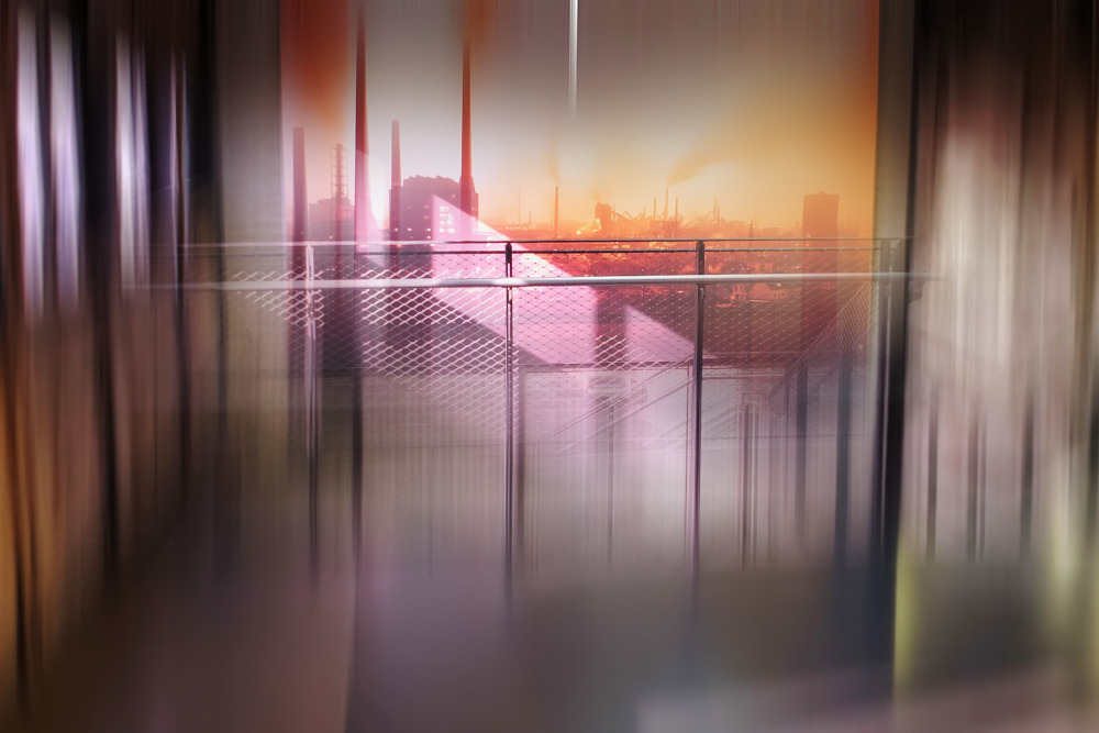 41110990951_ec8fc552b0_o.jpg