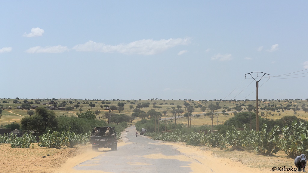 Das Bild zeigt eine huckelige Teerstraße die in das Bild führt. Die Straße hat viele Sandflächen und Schlaglöcher. Der vorausfahrende grüne Geländewagen fährt auf dem linken Seitenstreifen. Die Straße führt durch einen Savannenlandschaft mit einzelnen Bäumen. Deine Stromleitung führt am rechten Straßenrand entlang.