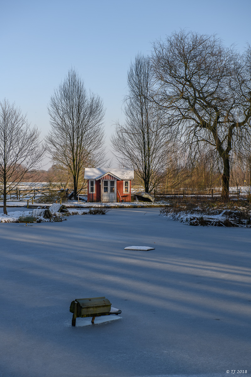 DSC_0502.jpg