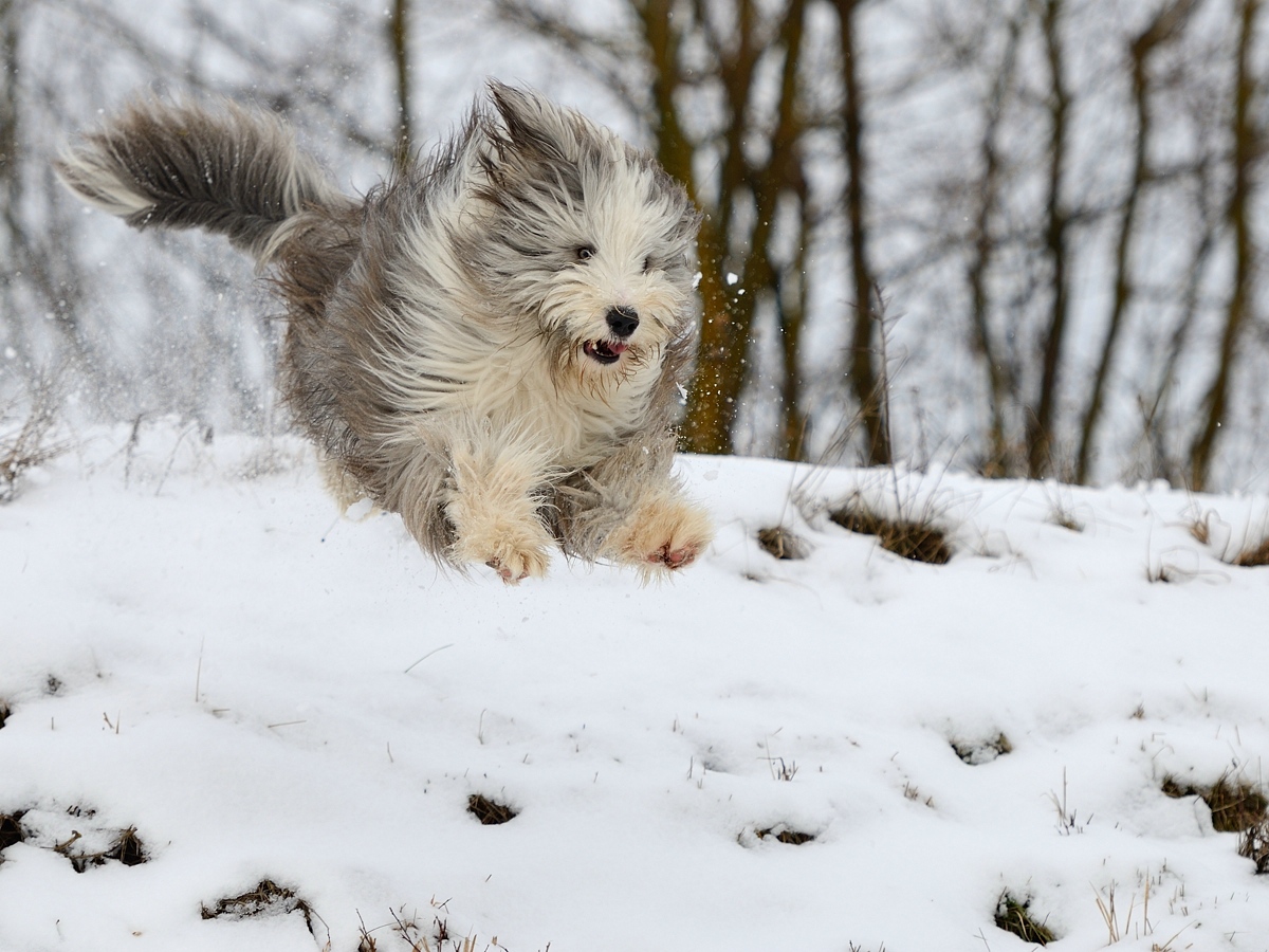_DSC_1847.jpg
