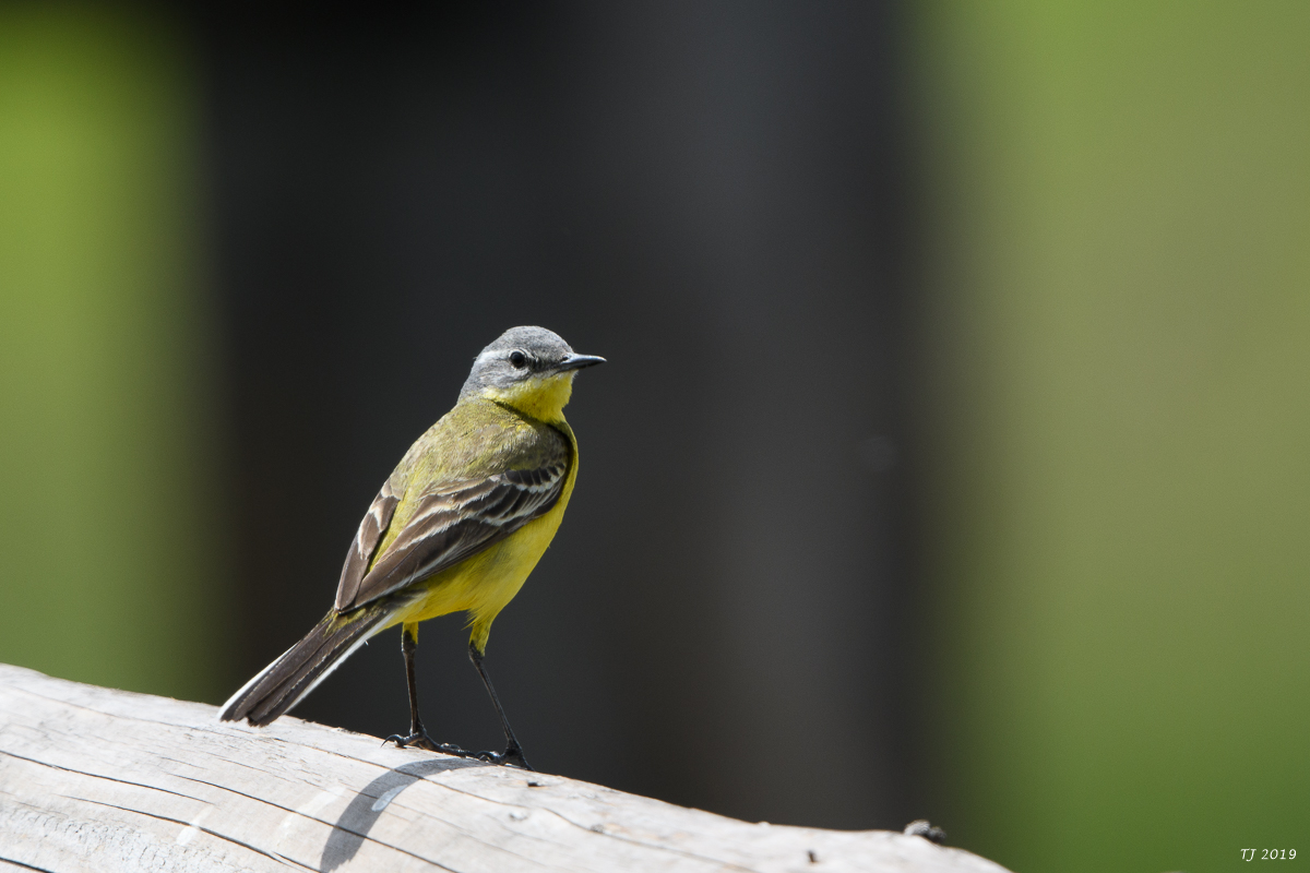 DSC_8492.jpg