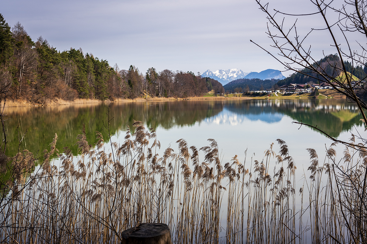 20230318_NZ9_1307NF.jpg