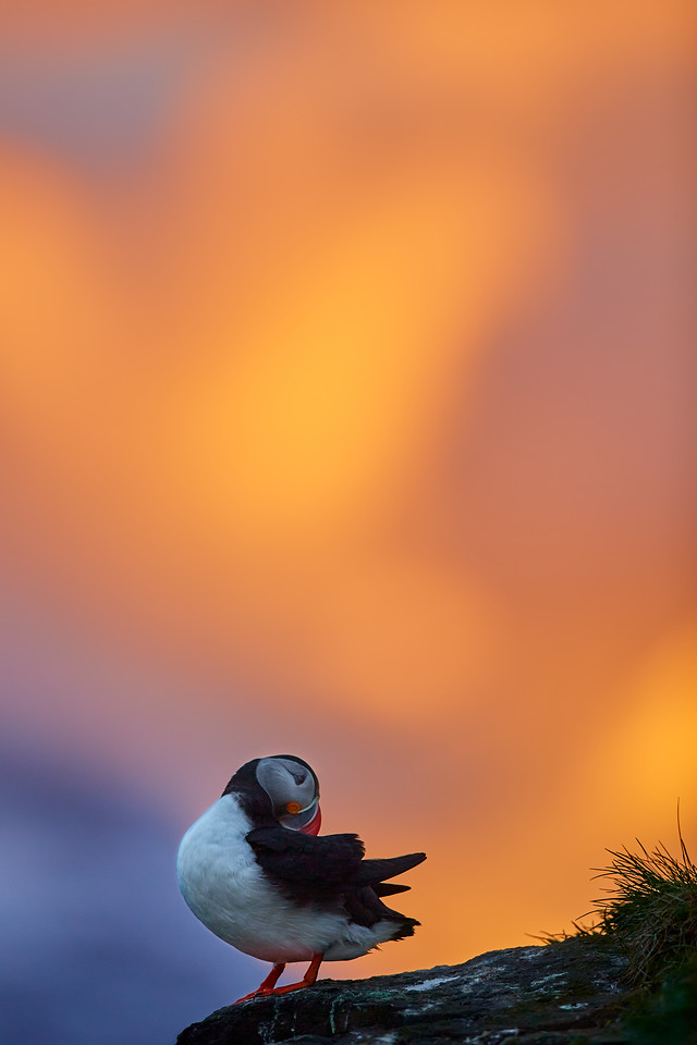 IMG_4722-X2.jpg
