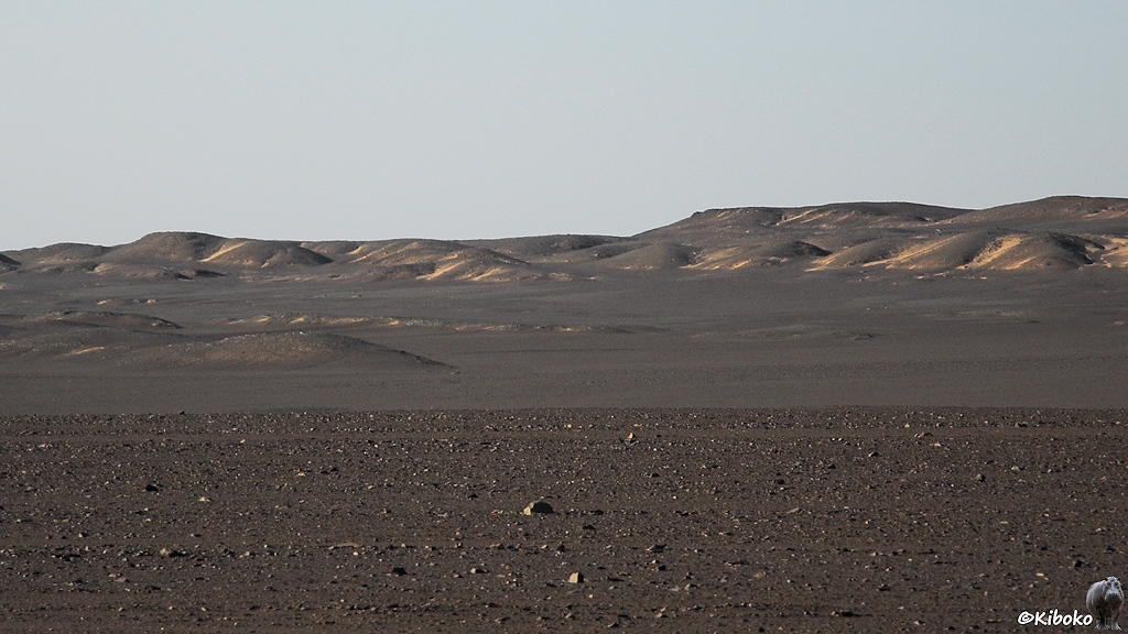 Blick ins Hinterland. Schwarze Steine und sanfte Hügel bis zum Horizont.