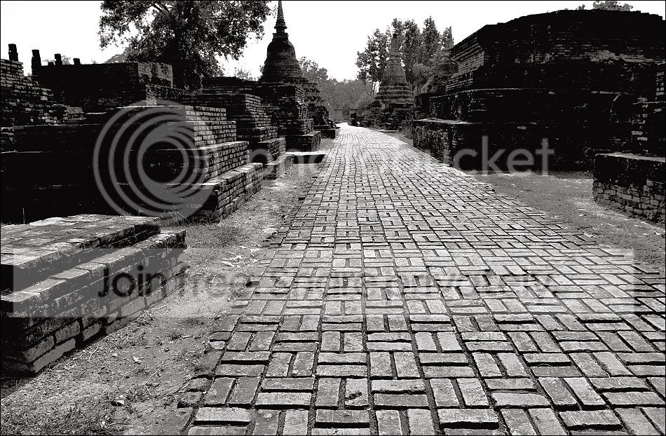x-compSukhotSW12rahmen.jpg