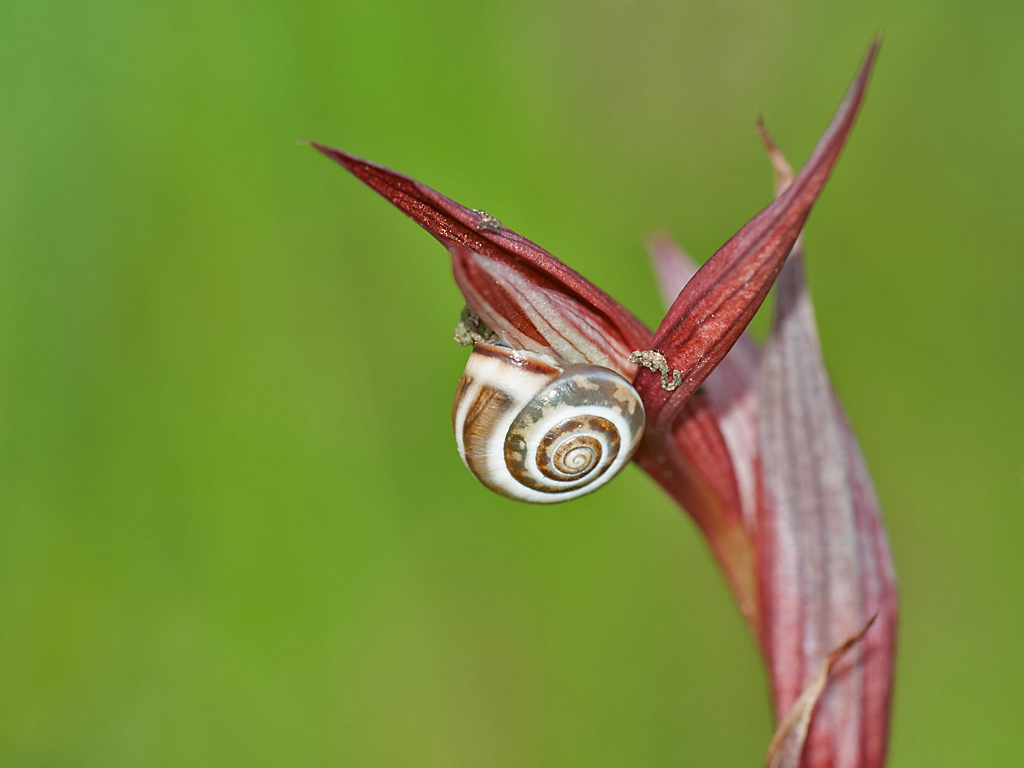 DSC_7092.jpg