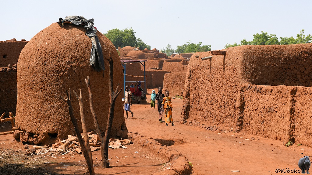 Das Bild zeigt einen Weg aus rötlichem Sand, der in Schlangenlinien zwischen eingeschossigen Lehmgebäuden, hohen Lehmmauern und runden Speichern hindurchführt.