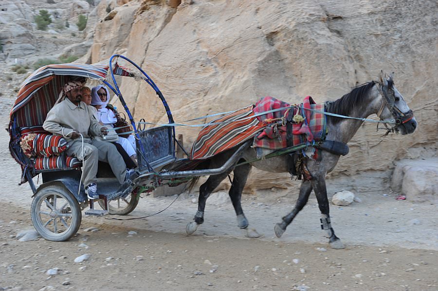 jordanien13_172.jpg