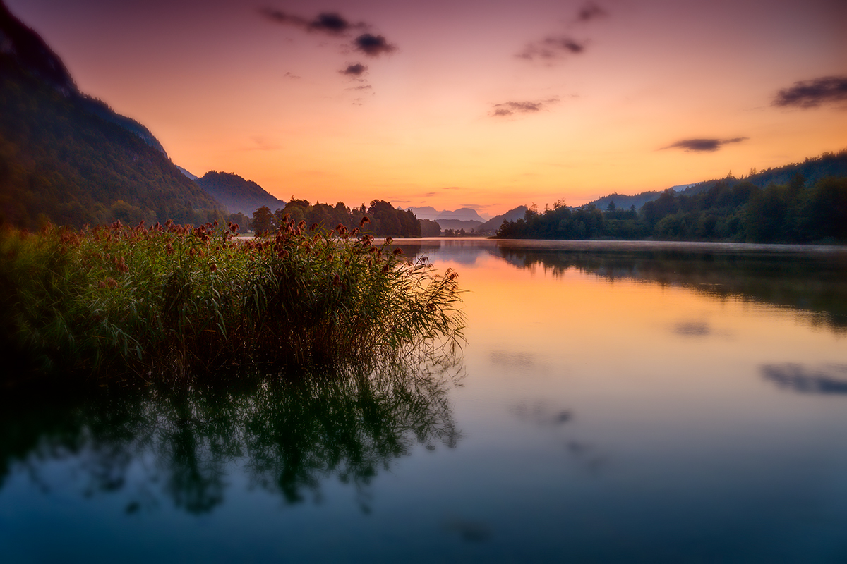 20210914_NZ7_5126v1NF.jpg