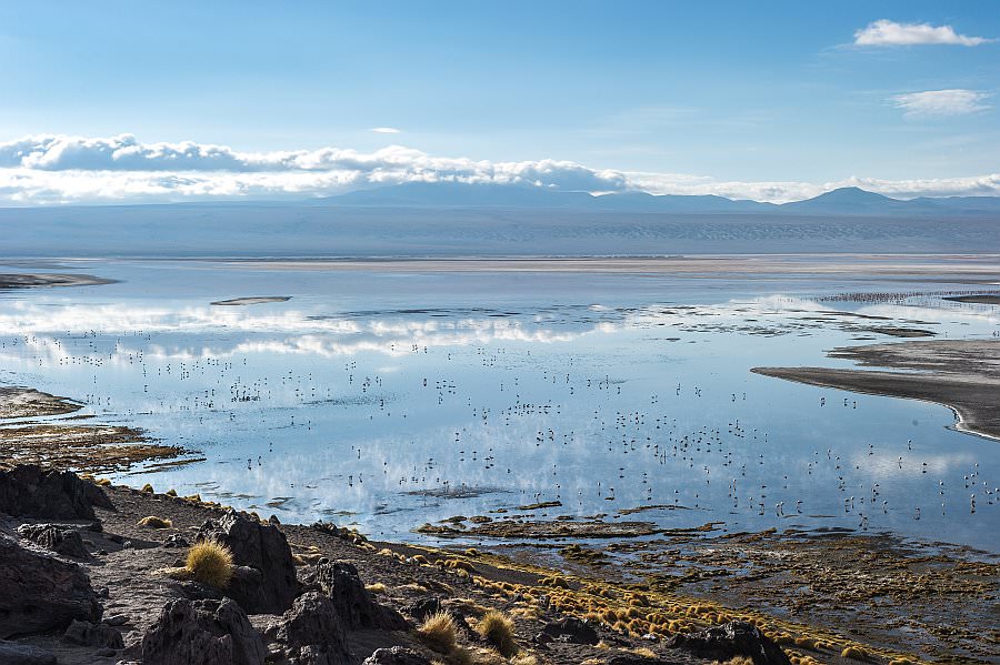 atacama16_037.jpg