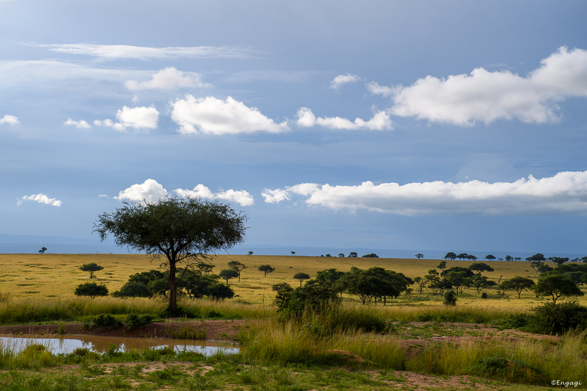 Uganda%200434.jpg