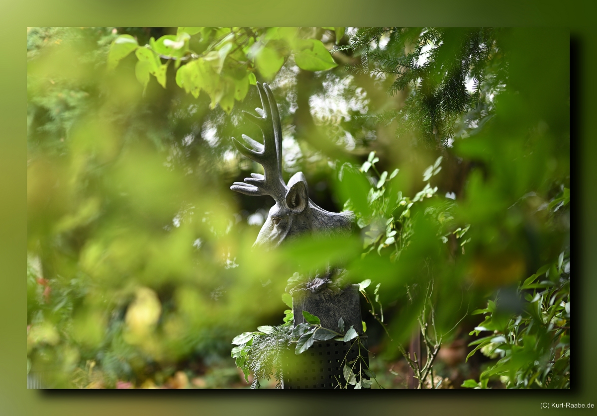 C-Kurt-Raabe.defx_frame_blur_7656.jpg