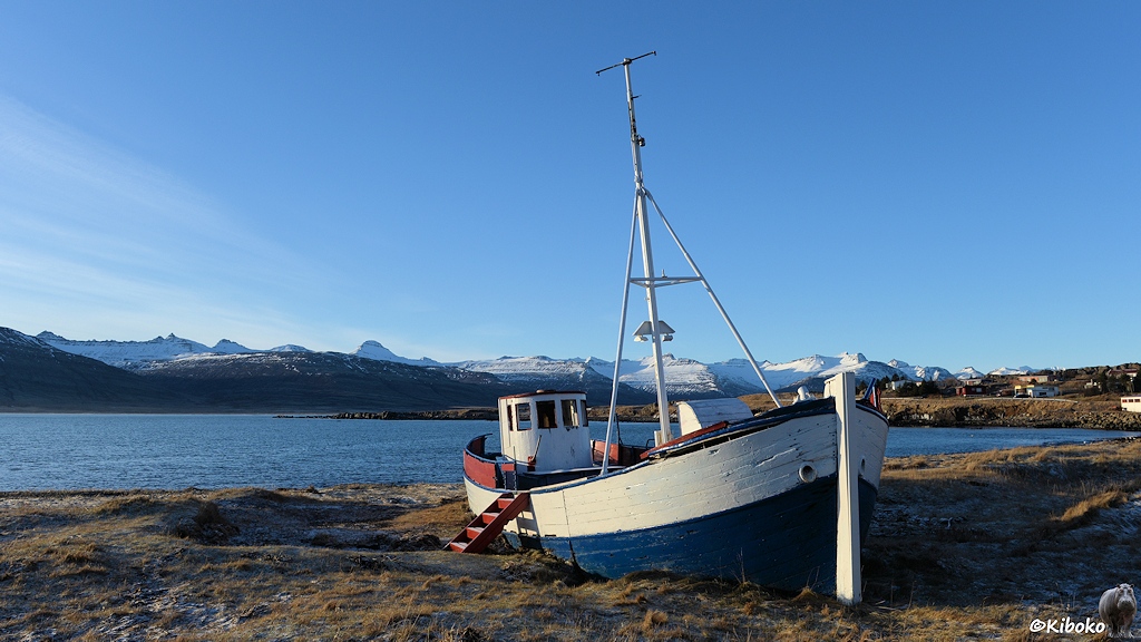Ein alter weiß-blauer Kutter steht auf einer Wiese an einem Fjord.