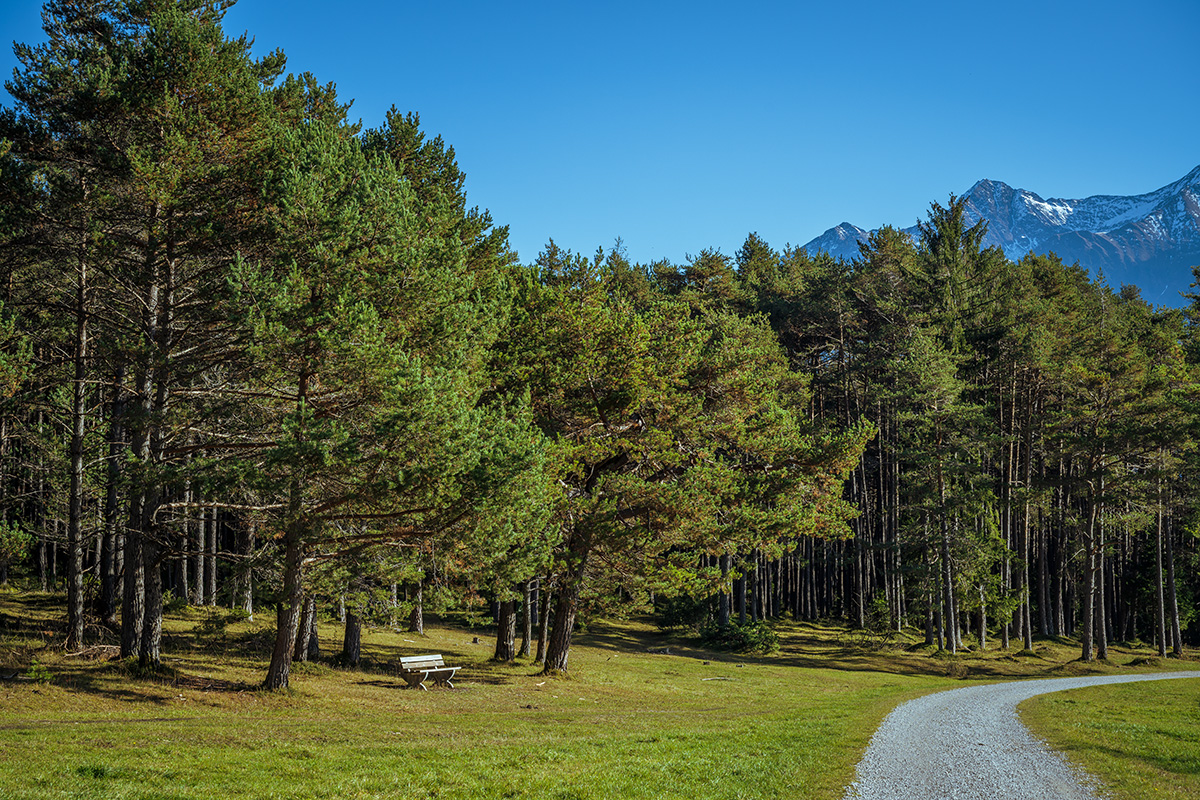 20201106_NZ7_1200NF.jpg
