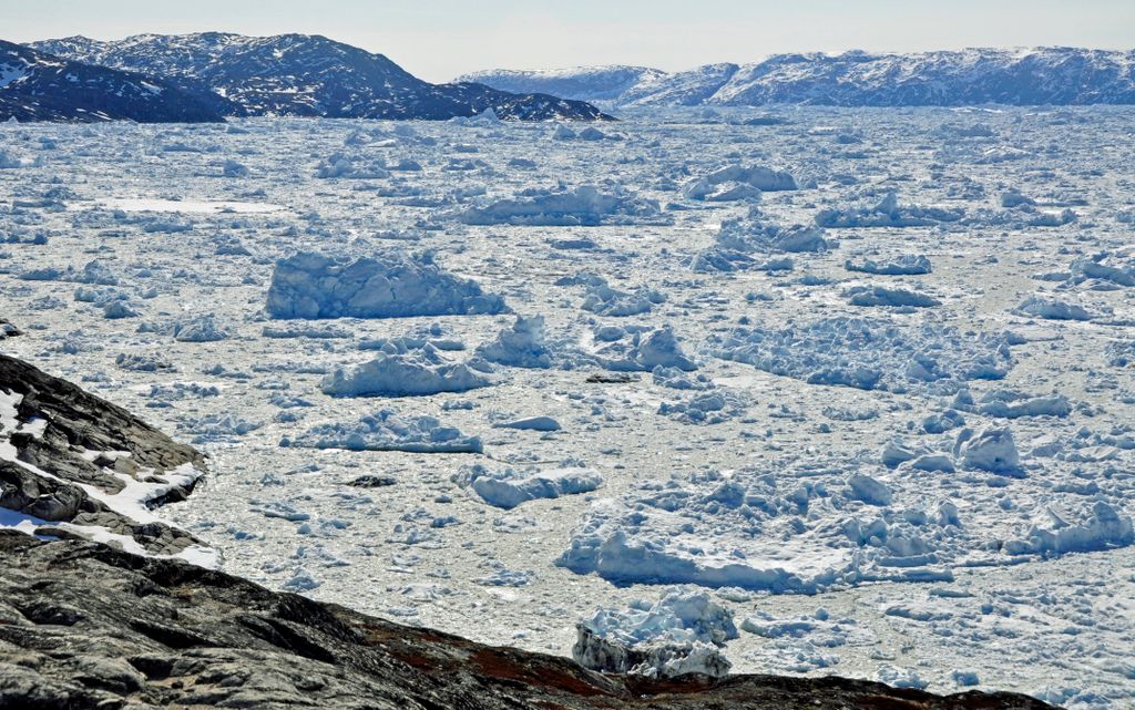 _dsc2246.jpg