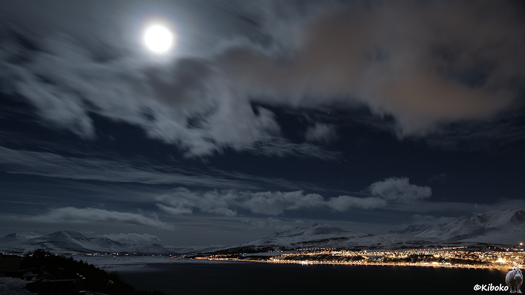 Nachtaufnahme auf einem Ort an einem Fjordende. Der Vollmond leuchtet diffus durch dünne Wolken. Wolkenfetzen sind über dem Himmel am Fjord.