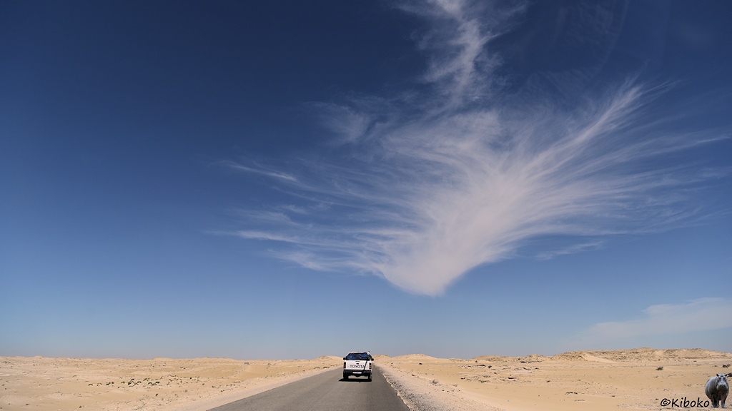 Das Bild zeigt einer gerade Teerstraße aus der Perspektive eines Autos. Daneben ist eine Wüste aus beigefarbenen Sand mit einzelnen Steinformationen. Über der Straße hängt eine ausgefranzte Wolke am blauen Himmel.