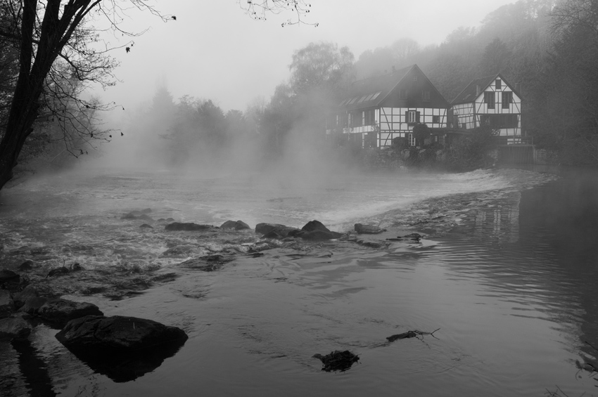 Morgennebel_7147.jpg