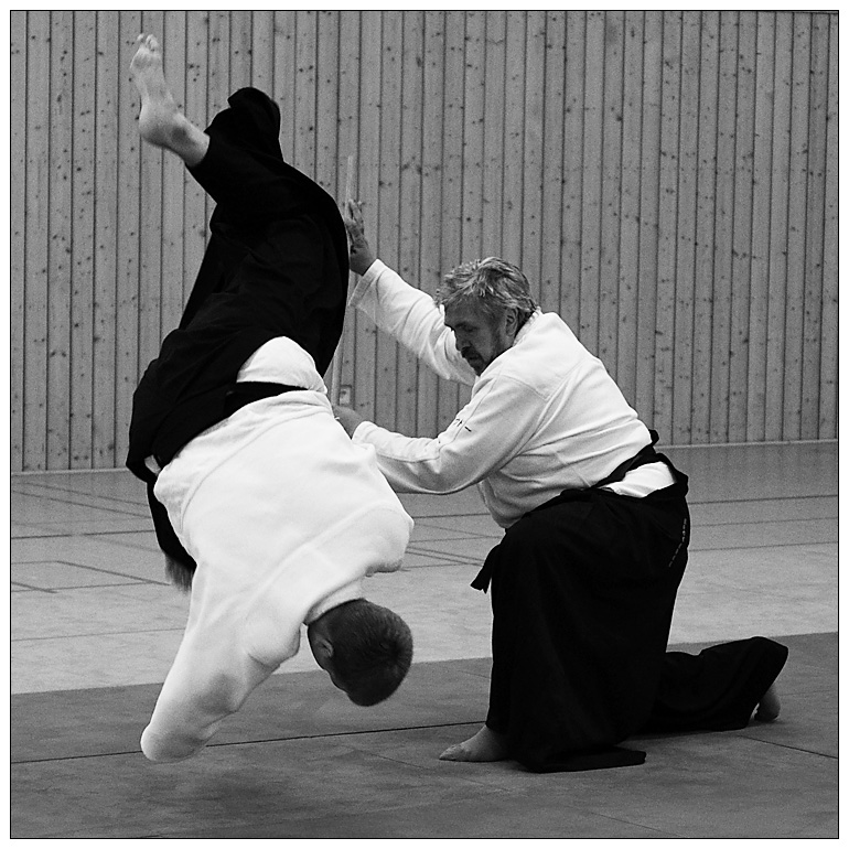 Aikido_7424.jpg