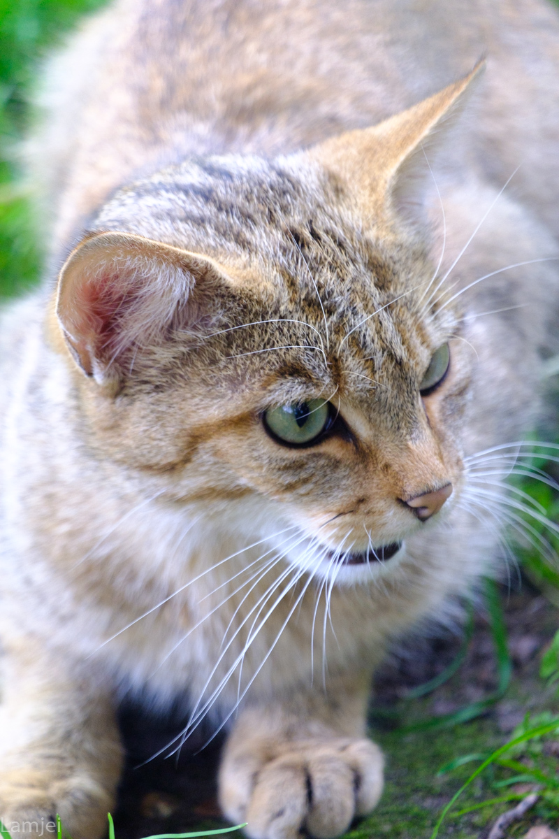 DSCF2952.jpg