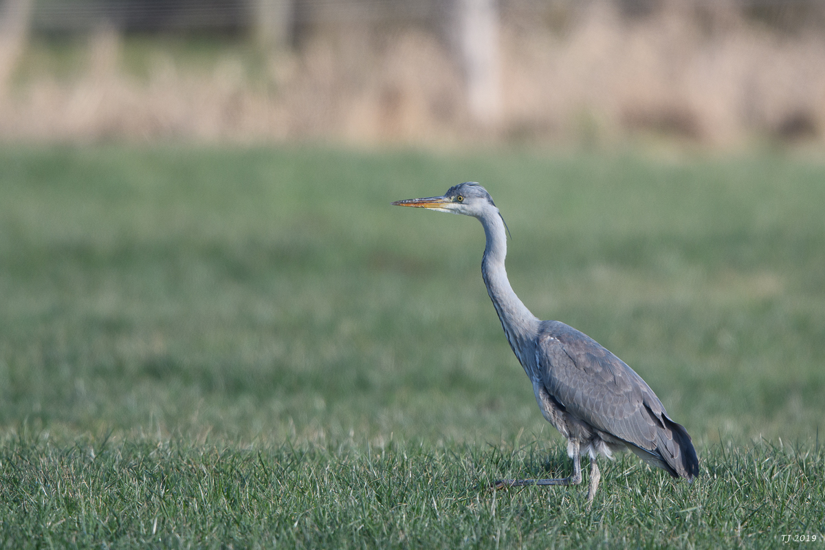 DSC_7119.jpg
