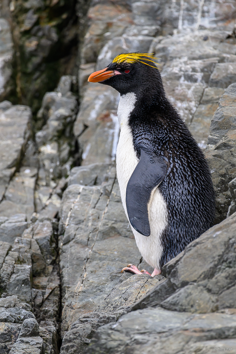 DSC_2982.jpg