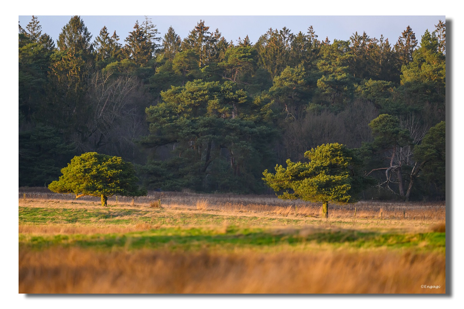 DSC_2051.jpg