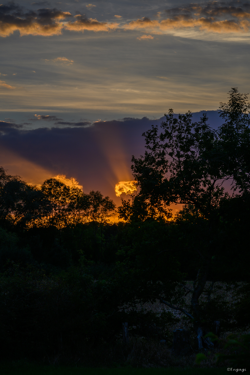 DSC_4491.jpg