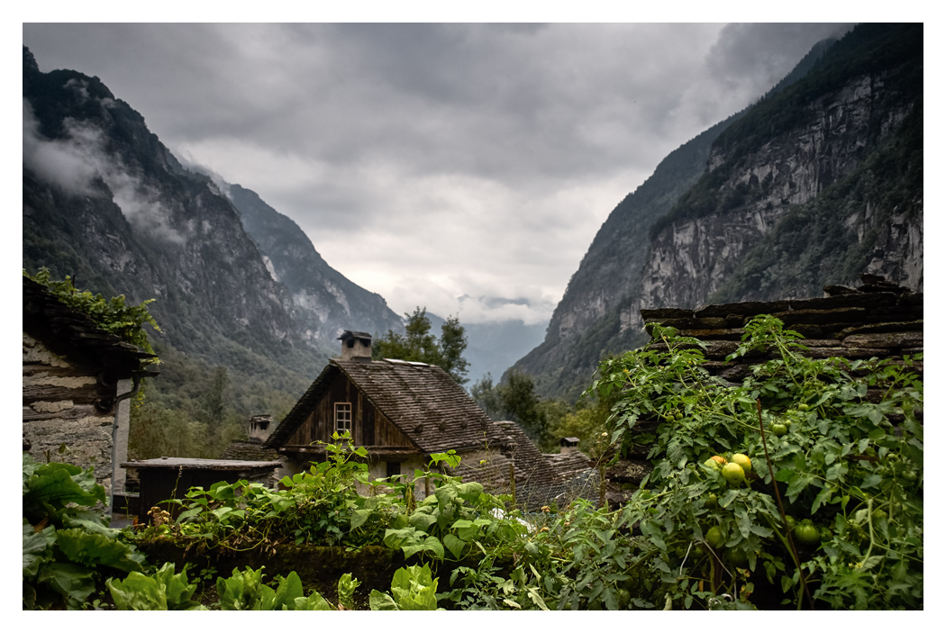 Tessin_2015_4.jpg