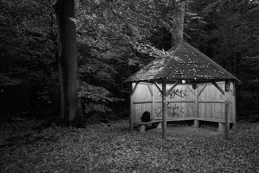 wald4.jpg