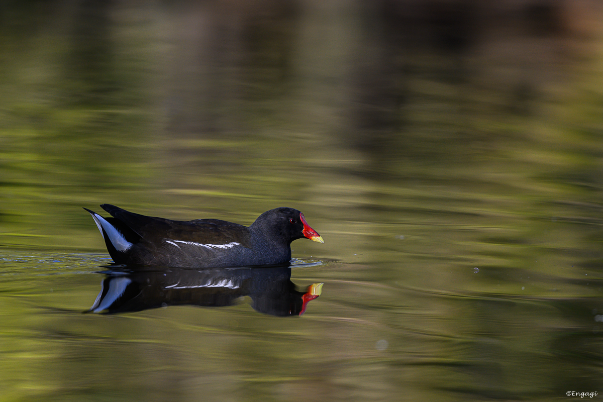 DSC_1750.jpg
