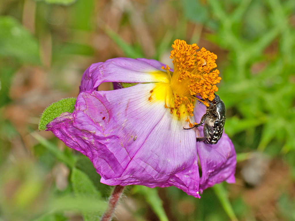 DSC_6835.jpg