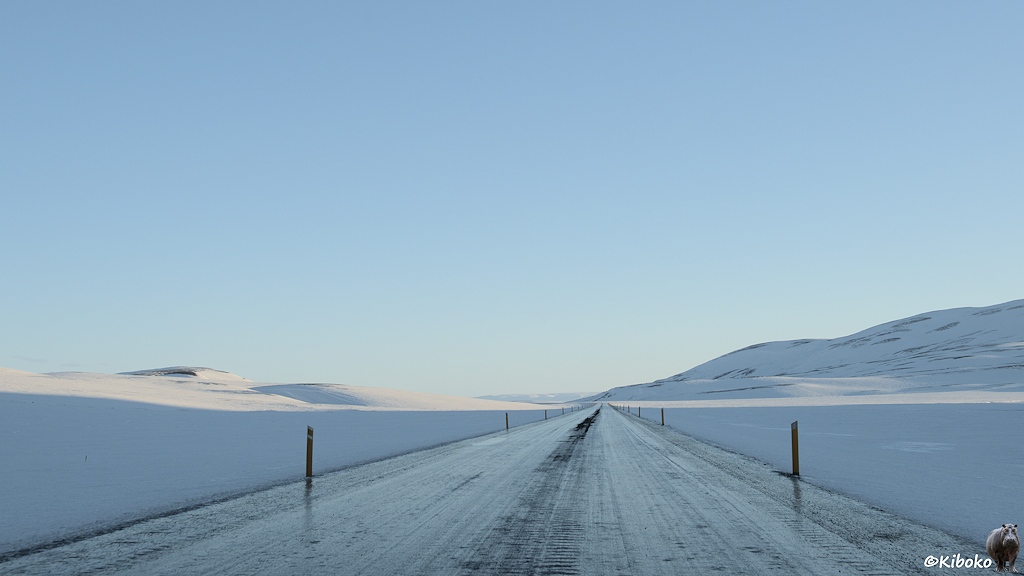 Eine vereiste Straße führt geradeaus durch eine verschneites Tal.