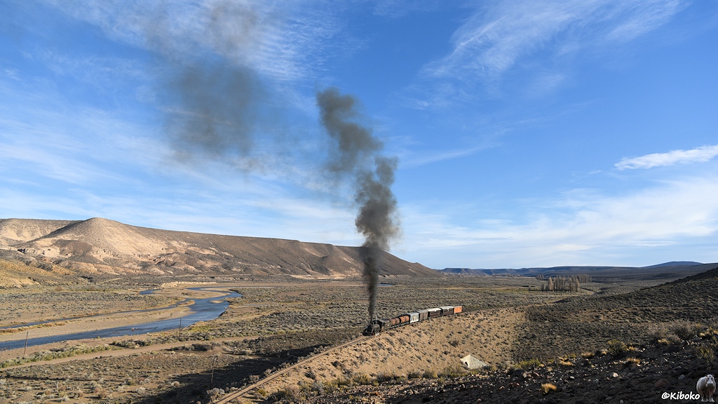 s317_bCerraMesa_3_7515.jpg